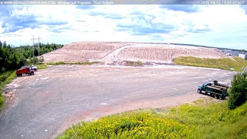 Windsor Salt