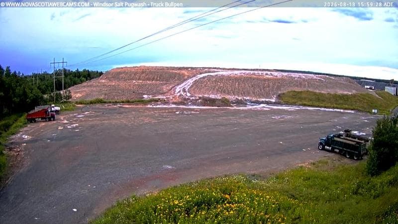 Windsor Salt