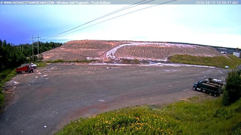 Windsor Salt
