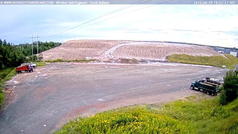 Windsor Salt