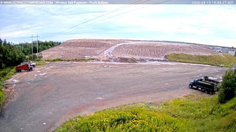 Windsor Salt