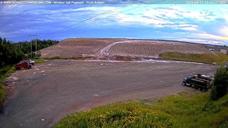 Windsor Salt
