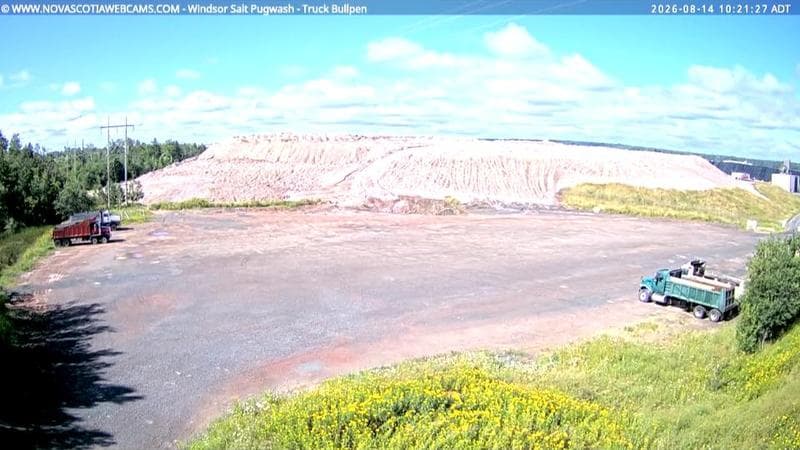 Windsor Salt