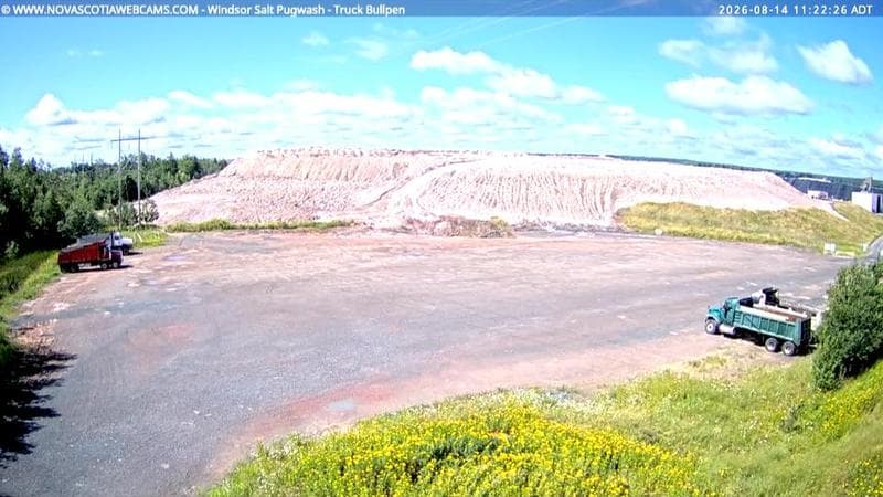 Windsor Salt
