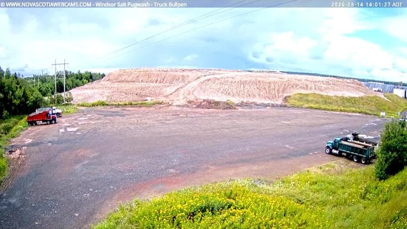 Windsor Salt