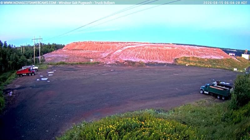 Windsor Salt