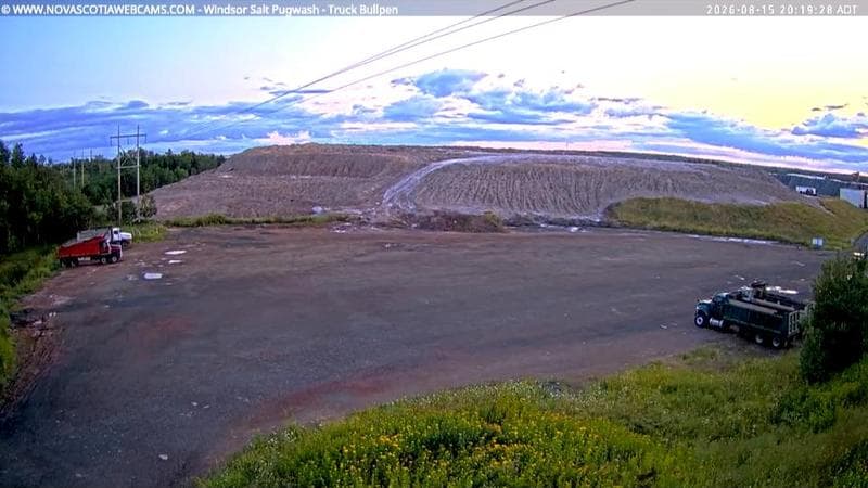 Windsor Salt