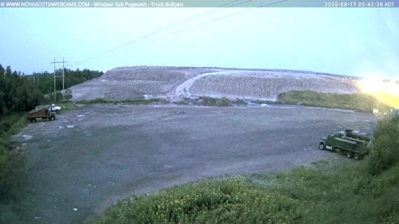 Windsor Salt