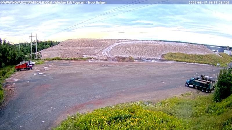 Windsor Salt
