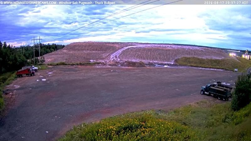 Windsor Salt