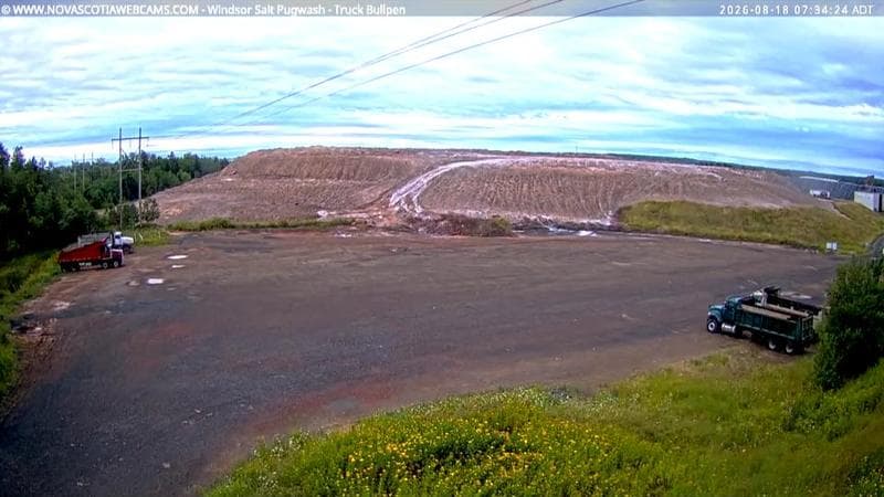 Windsor Salt
