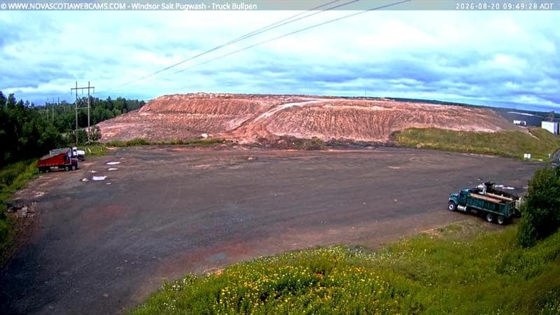 Windsor Salt