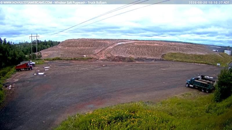 Windsor Salt