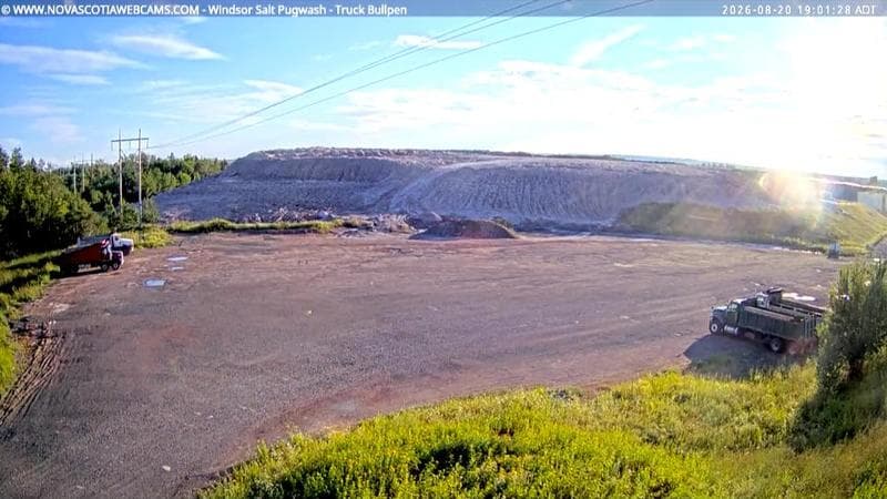 Windsor Salt