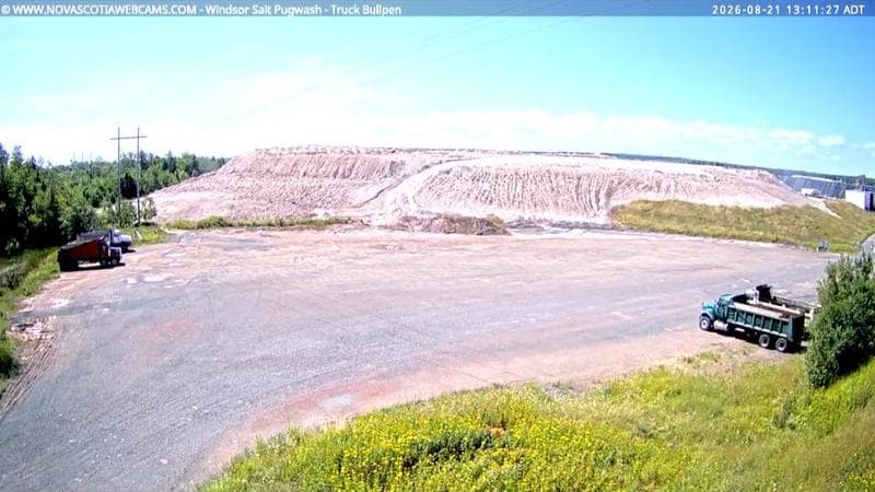 Windsor Salt
