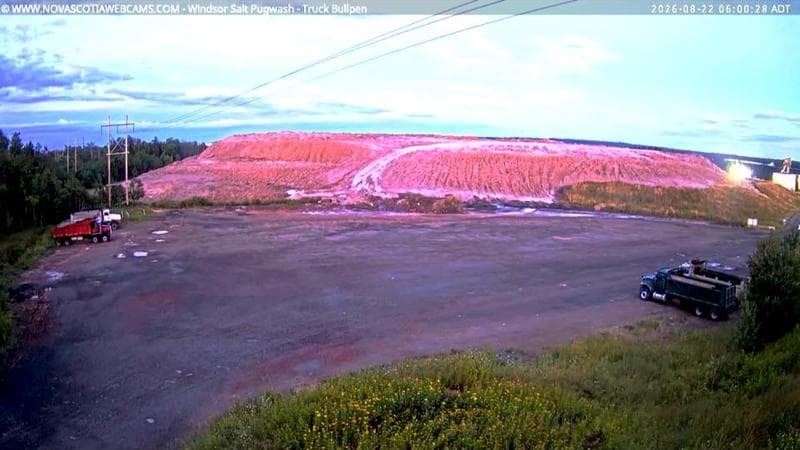 Windsor Salt