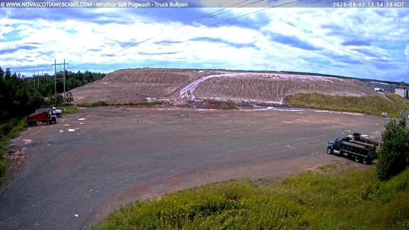 Windsor Salt