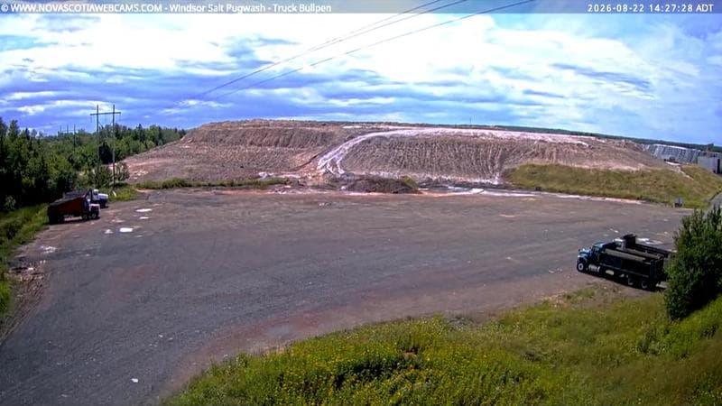 Windsor Salt