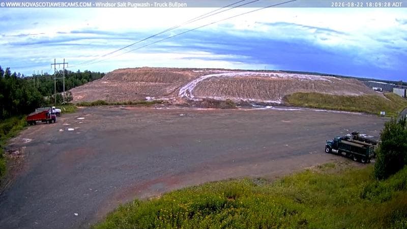 Windsor Salt