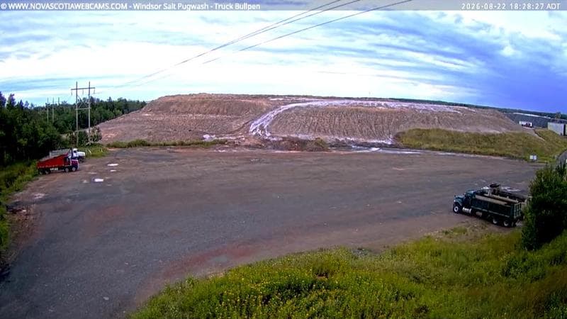 Windsor Salt
