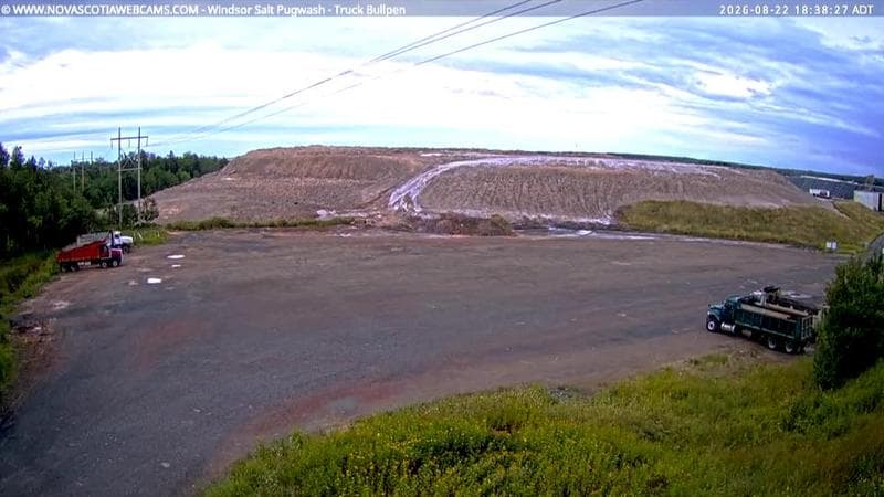 Windsor Salt