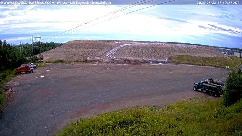 Windsor Salt