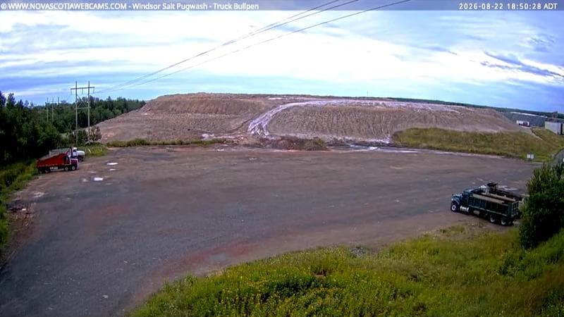 Windsor Salt