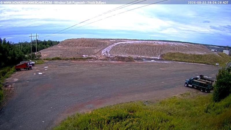 Windsor Salt