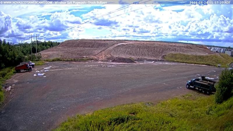 Windsor Salt