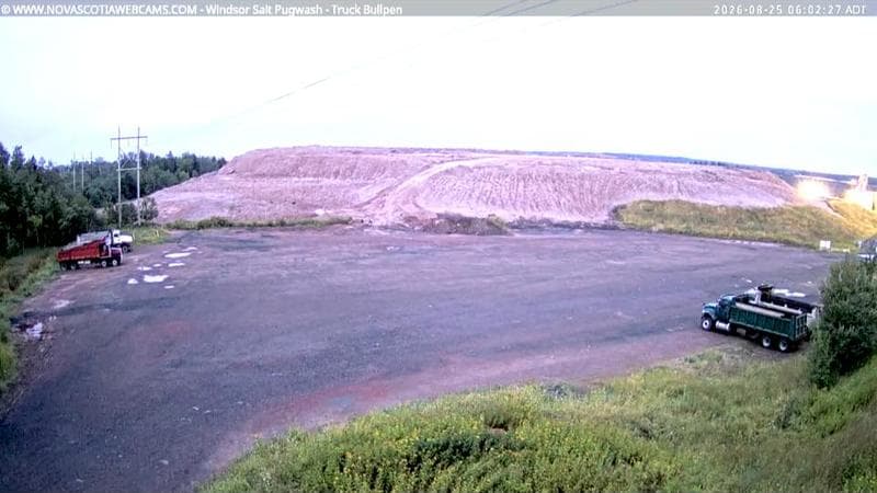 Windsor Salt