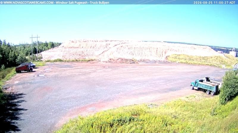 Windsor Salt
