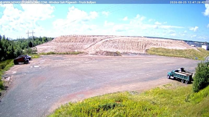 Windsor Salt
