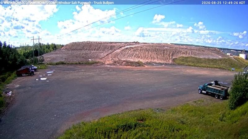 Windsor Salt