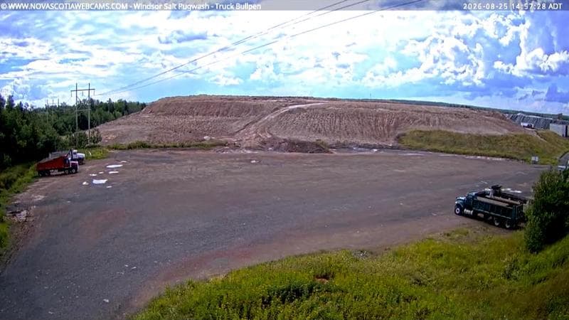 Windsor Salt