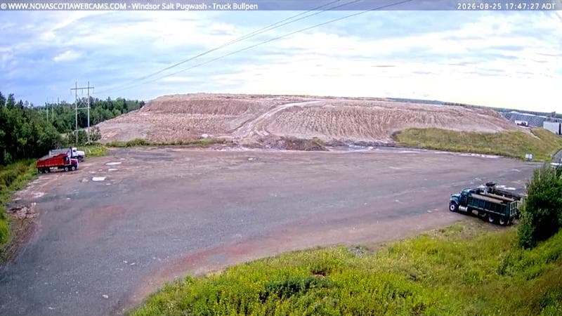 Windsor Salt