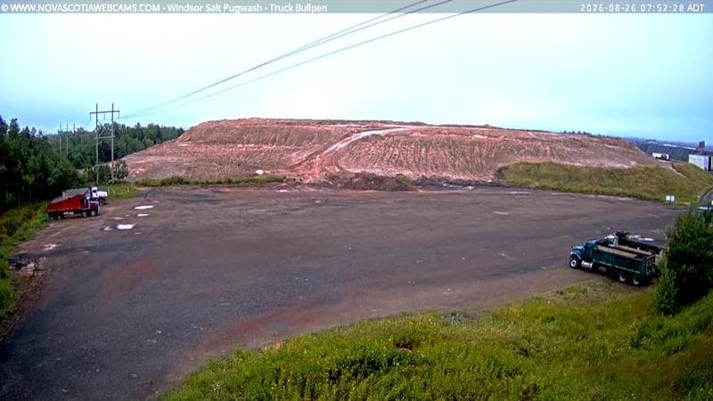 Windsor Salt