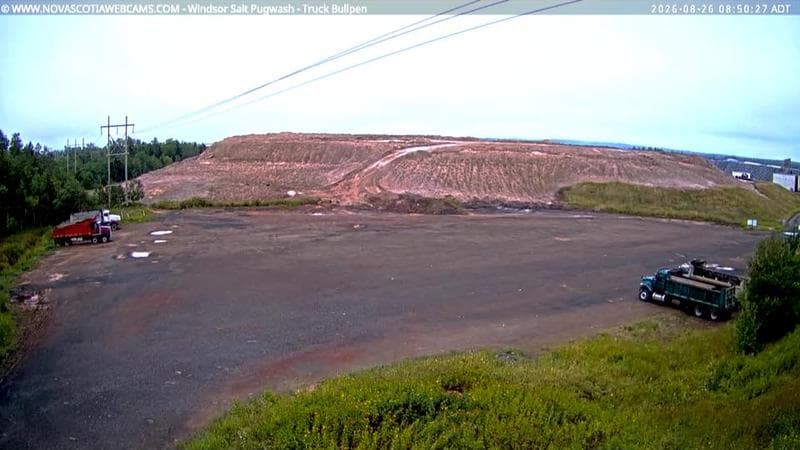Windsor Salt