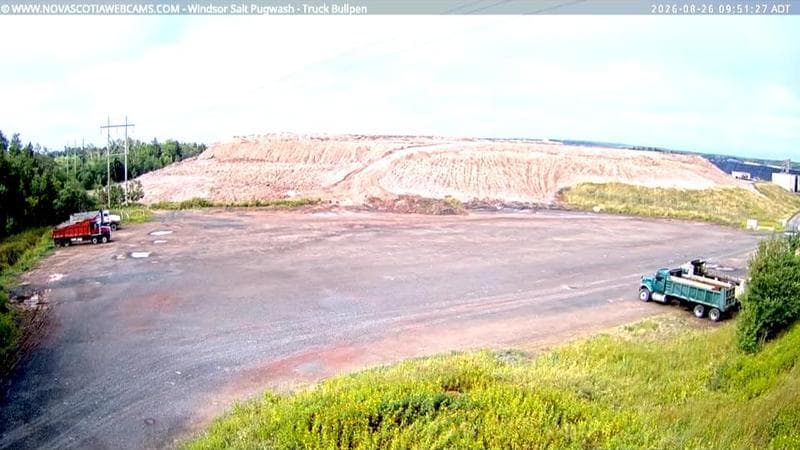 Windsor Salt