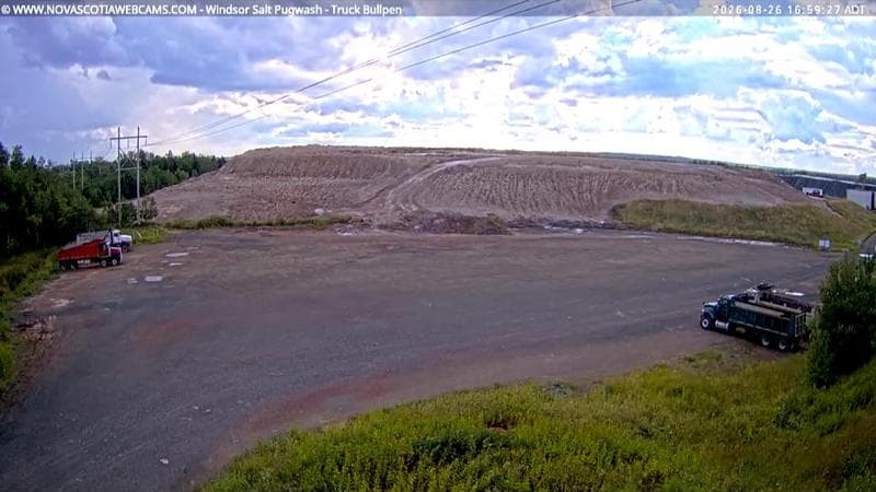 Windsor Salt
