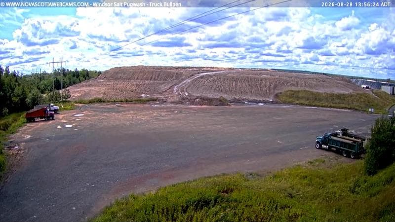 Windsor Salt