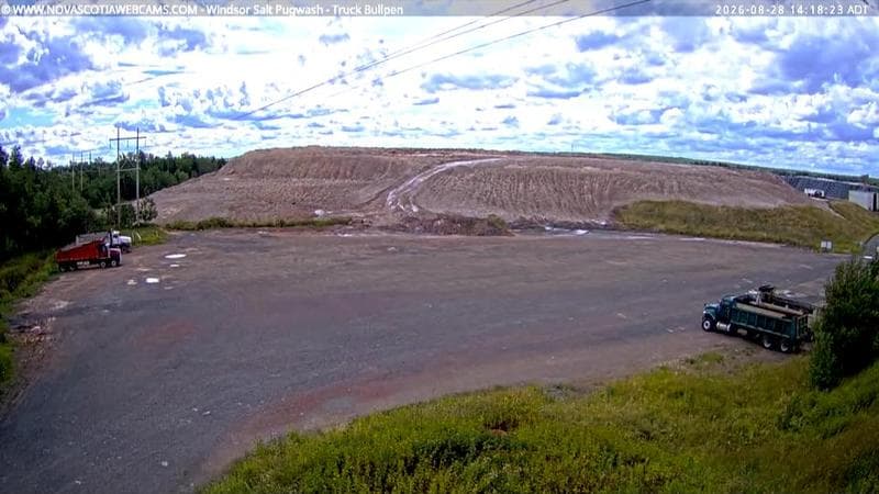 Windsor Salt