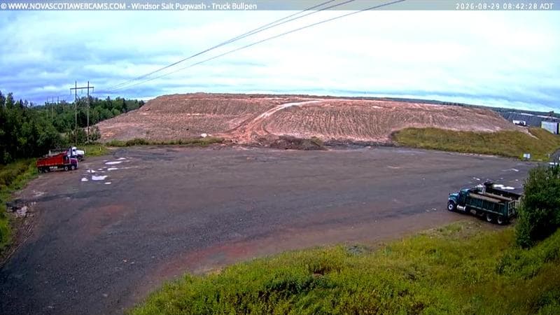 Windsor Salt