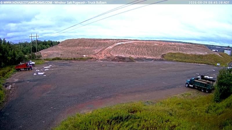 Windsor Salt