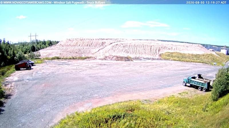 Windsor Salt