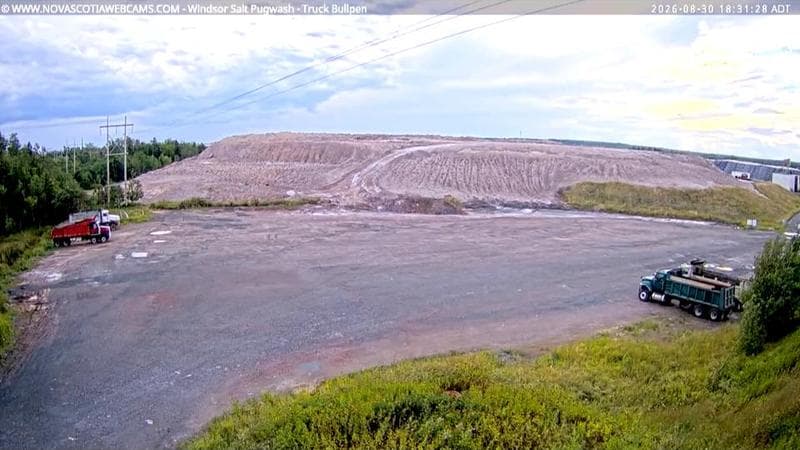 Windsor Salt