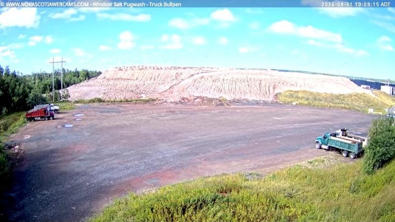 Windsor Salt