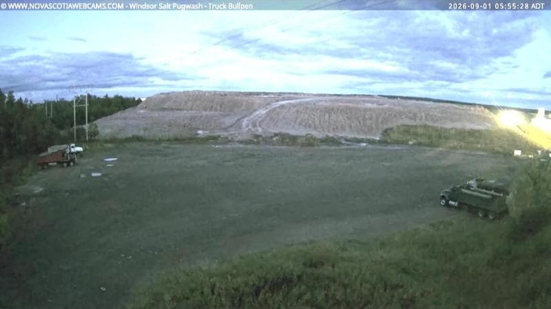 Windsor Salt