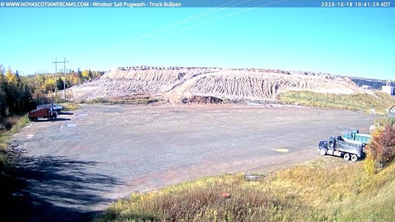 Windsor Salt