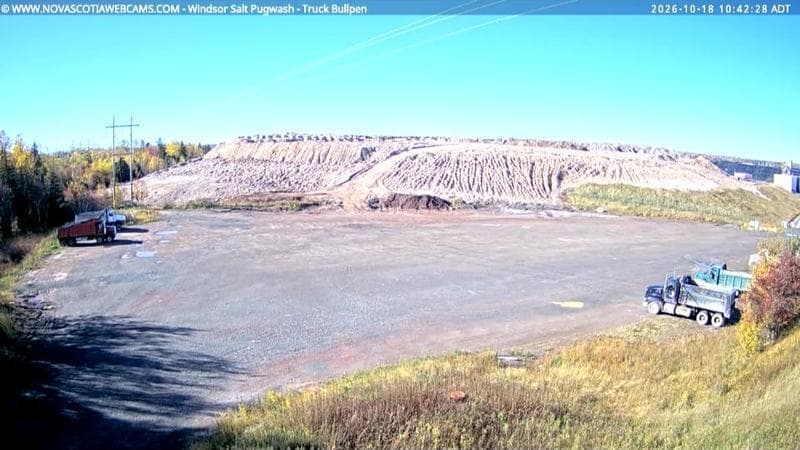 Windsor Salt