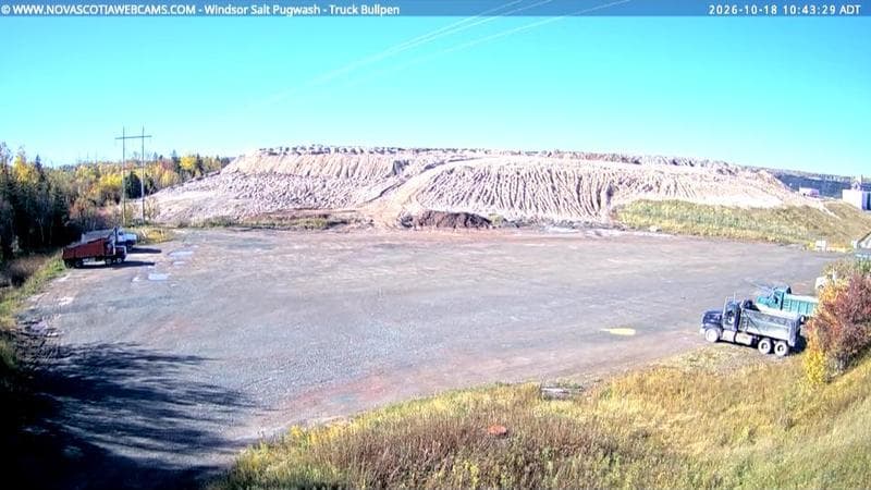 Windsor Salt